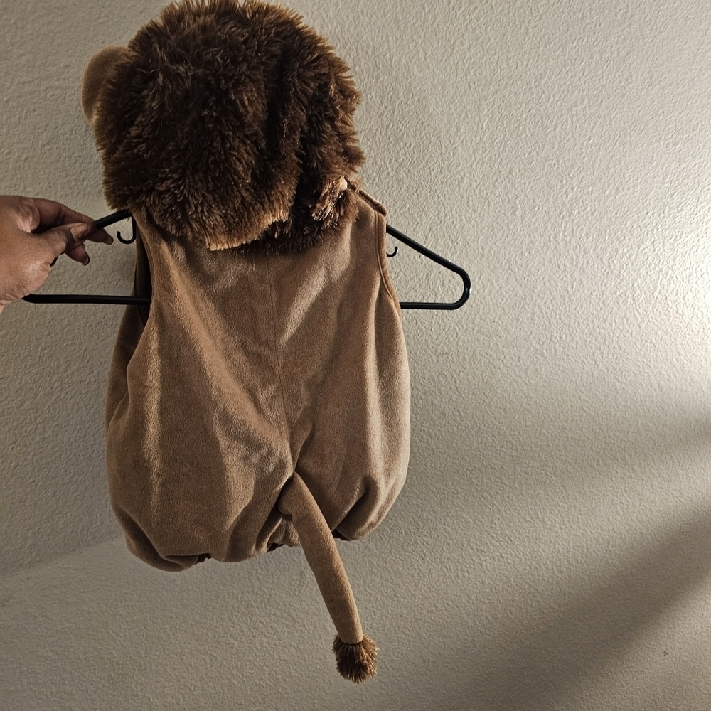 Adorable Lion Costume for Kids - Picture 2 of 7
